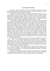 Renesanso plitimas ir ypatybės 11 puslapis