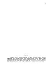 Renesanso plitimas ir ypatybės 20 puslapis