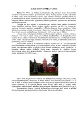 Renesanso plitimas ir ypatybės 7 puslapis