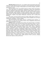 Renesanso plitimas ir ypatybės 8 puslapis