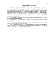 Renesanso plitimas ir ypatybės 10 puslapis