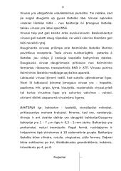 Bakterijos ir virusai: analizė 3 puslapis