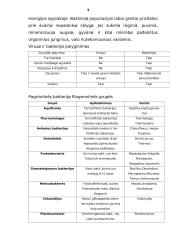 Bakterijos ir virusai: analizė 5 puslapis