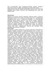 Didysis baublys 2 puslapis