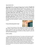 Erkės ir erkių platinamos ligos 3 puslapis