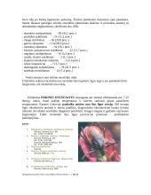 Erkės ir erkių platinamos ligos 5 puslapis