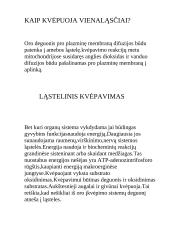 Kvėpavimas ir jo veikimas 4 puslapis