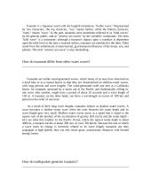 Tsunamies and earthquakes 2 puslapis