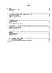 "X" įmonės marketingo programa 2 puslapis