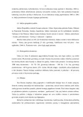 "X" įmonės marketingo programa 11 puslapis