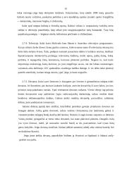 "X" įmonės marketingo programa 15 puslapis