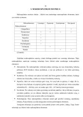 "X" įmonės marketingo programa 16 puslapis