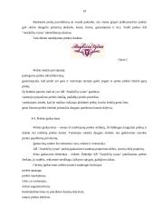 "X" įmonės marketingo programa 19 puslapis