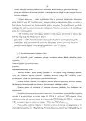 "X" įmonės marketingo programa 20 puslapis