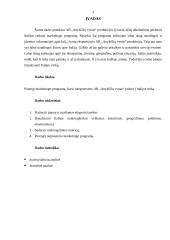 "X" įmonės marketingo programa 3 puslapis