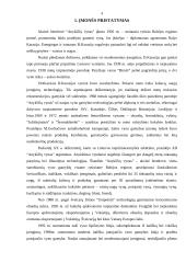 "X" įmonės marketingo programa 4 puslapis