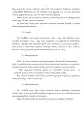 "X" įmonės marketingo programa 5 puslapis