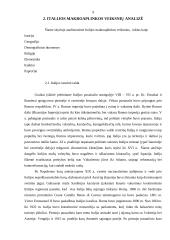 "X" įmonės marketingo programa 9 puslapis