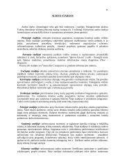 Auditas Europoje 11 puslapis