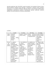 Auditas Europoje 12 puslapis