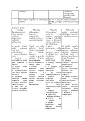 Auditas Europoje 13 puslapis