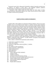 Auditas Europoje 15 puslapis