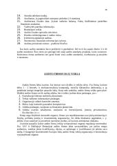 Auditas Europoje 16 puslapis