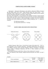 Auditas Europoje 17 puslapis