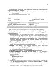 Auditas Europoje 3 puslapis