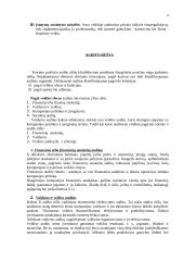 Auditas Europoje 4 puslapis