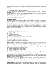 Auditas Europoje 5 puslapis