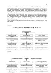 Auditas Europoje 6 puslapis