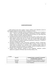 Auditas Europoje 7 puslapis