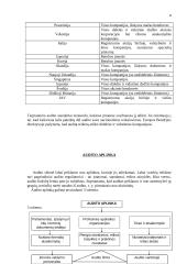 Auditas Europoje 8 puslapis