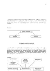 Auditas Europoje 9 puslapis