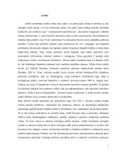 Audito reikšmė ir būtinumas 2 puslapis