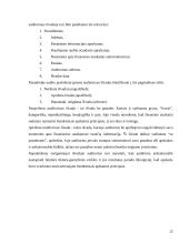 Audito reikšmė ir būtinumas 13 puslapis