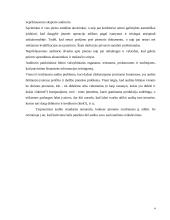 Audito reikšmė ir būtinumas 5 puslapis