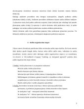 Audito reikšmė ir būtinumas 9 puslapis