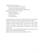 Audito reikšmė ir būtinumas 10 puslapis