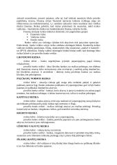 Bankų rizika 2 puslapis