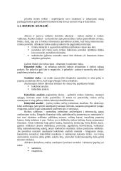 Bankų rizika 3 puslapis