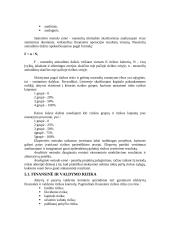 Bankų rizika 4 puslapis