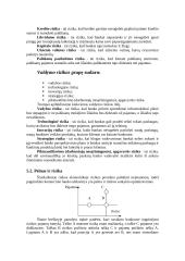 Bankų rizika 5 puslapis