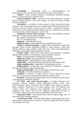 Bankų rizika 8 puslapis