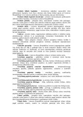 Bankų rizika 9 puslapis