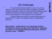 BPD prezentacija ES fondų paramai gauti 2 puslapis