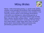 BPD prezentacija ES fondų paramai gauti 3 puslapis