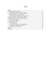 ES transporto politika 2 puslapis