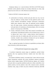 ES transporto politika 12 puslapis